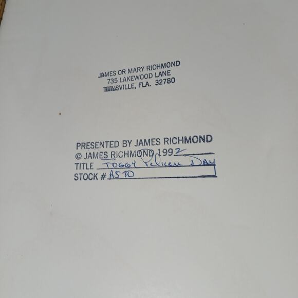 "Foggy Pelican Day" Signed James Richmond Photography Wall Art 24x20" Wood Frame - Picture 5 of 10